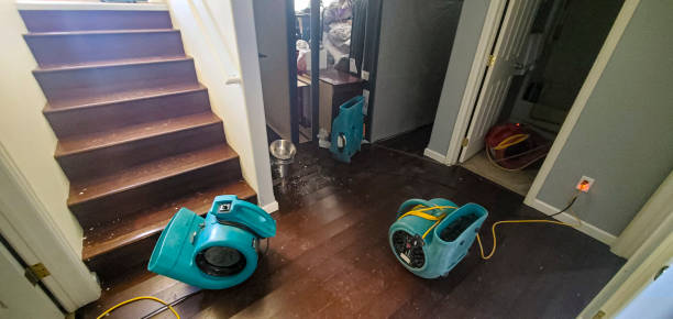 Best Sewage cleanup and water damage restoration  in Bloomington, MN