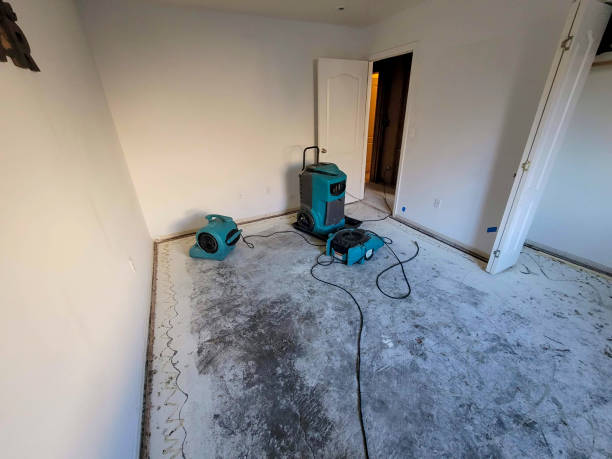 Best Flood damage cleanup  in Bloomington, MN