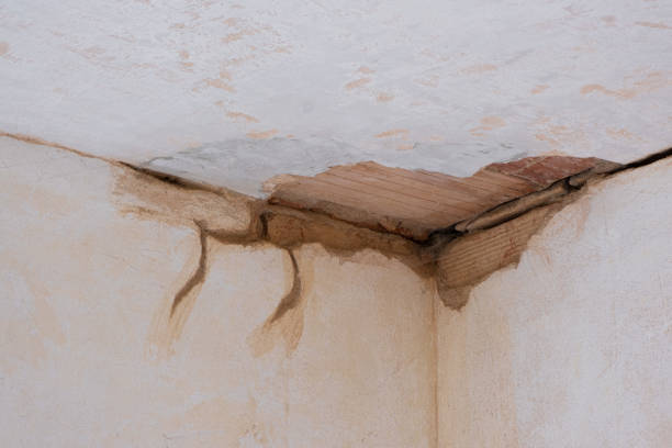 Best Commercial water damage restoration  in Bloomington, MN