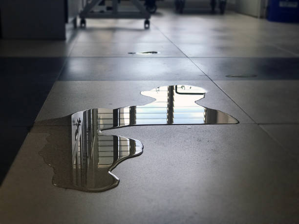 Best Water damage restoration specialists  in Bloomington, MN
