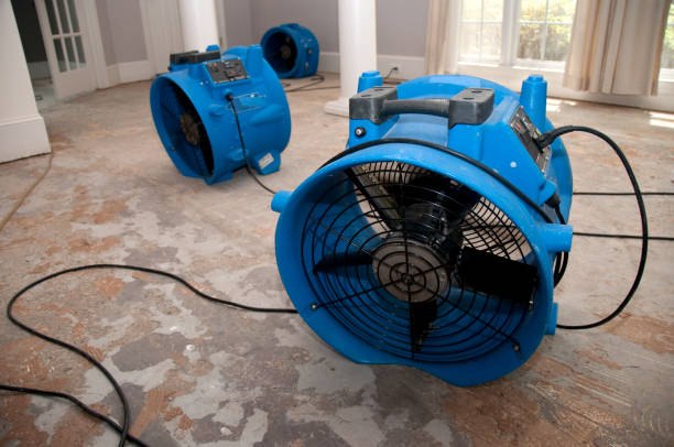 Best Water damage contractors near me  in Bloomington, MN