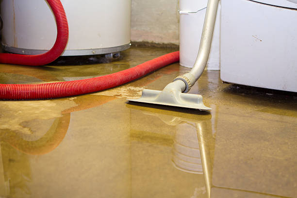 Best Emergency water extraction  in Bloomington, MN