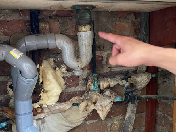 Best Water damage cleanup near me  in Bloomington, MN