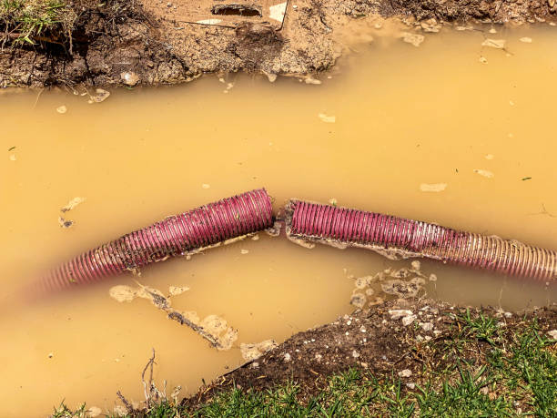 Best Local water damage restoration  in Bloomington, MN